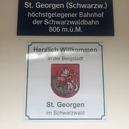 Schwarzwaldblick